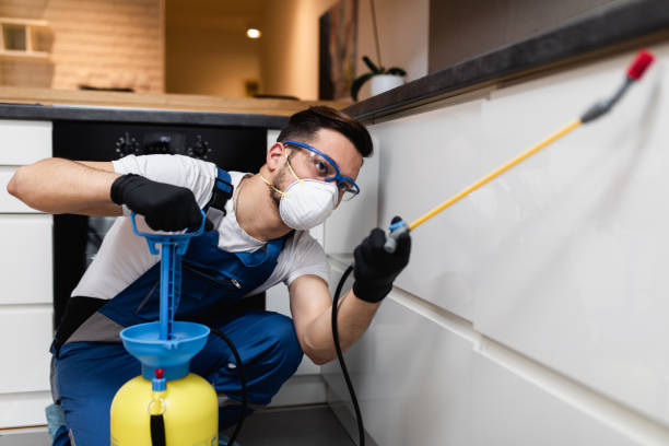 Trusted Hildale, UT Pest Control Experts