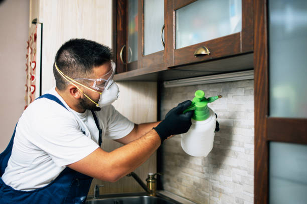 Flea Control Services in Hildale, UT