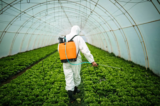 Best Pest Prevention Services  in Hildale, UT