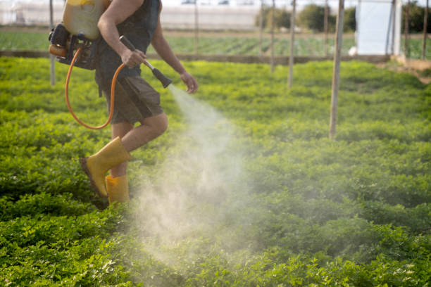 Best Affordable Pest Control Services  in Hildale, UT