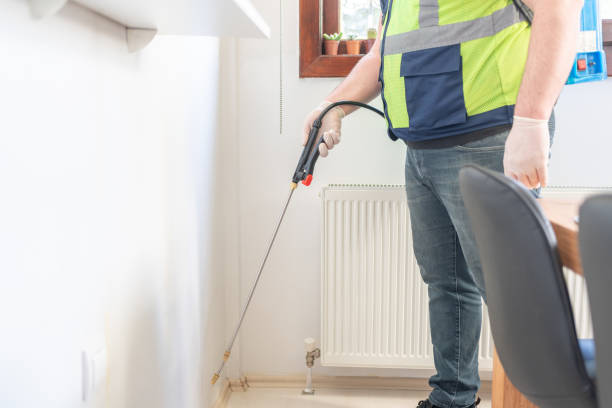 Best Ant Control Services  in Hildale, UT