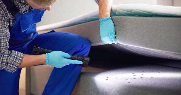 Best Pest Inspection Near Me  in Hildale, UT