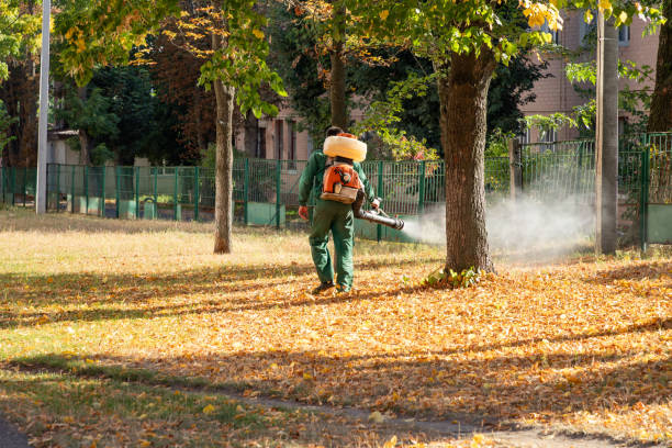 Best Local Pest Control Services  in Hildale, UT