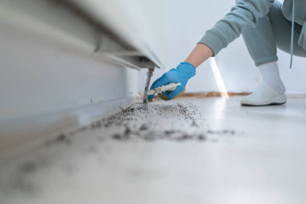 Best Pest Prevention Services  in Hildale, UT